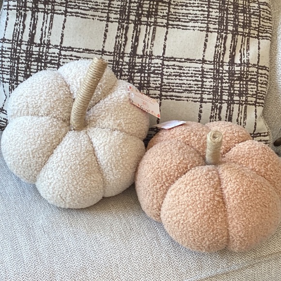 NEW! Fall Harvest FARMHOUSE Cottage Sherpa Peach & Cream Autumn Pumpkin Pillow - Picture 2 of 11